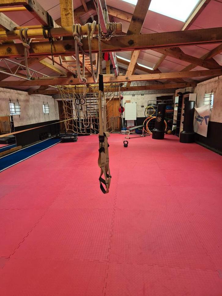 Matten Dojo - Perfect voor vechtsport!, Sport en Fitness, Fitnessmaterialen, Gebruikt, Fitnessmat, Armen, Benen, Borst, Buik, Rug