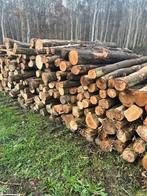 Boomstammen - Verschillende houtsoorten, Tuin en Terras, 6 m³ of meer, Ophalen of Verzenden, Overige houtsoorten, Stammen