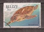Belize, Fauna, Zeeschildpad, 2000., Verzenden, Gestempeld, Midden-Amerika