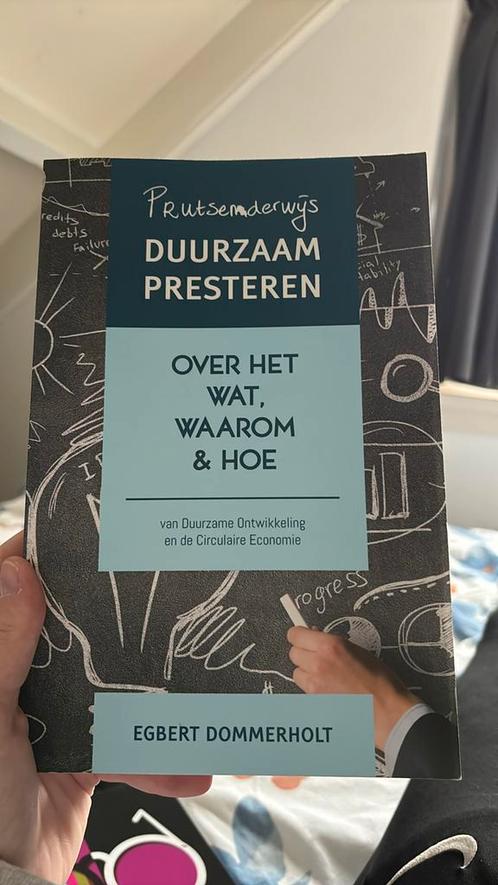 Egbert Dommerholt - Prutsenderwijs duurzaam presteren, Boeken, Schoolboeken, Zo goed als nieuw, Economie, Overige niveaus, Ophalen of Verzenden