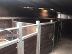 Paardenboxen, Dieren en Toebehoren, Stalling en Weidegang