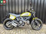Ducati Scrambler Flattrack Pro, Bedrijf, Meer dan 35 kW, Toermotor, 803 cc