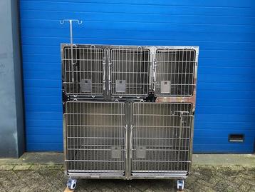 Hospitalisatiekooien, opnamekooien, honden en kattenkooien beschikbaar voor biedingen