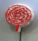 25 jaar anjer rood op wit plastic bloemen speldje ( N_118 ), Verzenden, Zo goed als nieuw, Dier of Natuur, Speldje of Pin