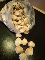 Zak Schelpen - Decoratie & Knutselen, Ophalen of Verzenden, Materiaal