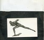 Ansicht Vincent Esser - De Schaatsenrijder, Verzenden, Ongelopen