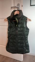 Donkergroene Bodywarmer PK Sports, Verzenden, Zo goed als nieuw, Overige soorten, Bovenkleding
