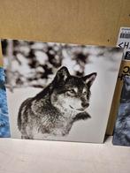 Wolf schilderij, Ophalen of Verzenden, Zo goed als nieuw
