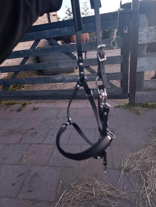 Halster hoofdstel Dabo's design, Dieren en Toebehoren, Paarden en Pony's | Hoofdstellen en Tuigage, Zo goed als nieuw, Overige soorten