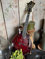 Ibanez 70’s lawsuit mandoline, Muziek en Instrumenten, Ophalen, Gebruikt