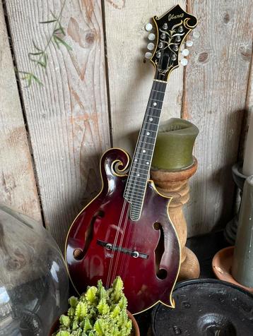 Ibanez 70’s lawsuit mandoline beschikbaar voor biedingen