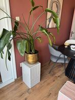Tegel Bijzettafeltje / Plantenstandaard, Huis en Inrichting, Woonaccessoires | Zuilen en Pilaren, Ophalen, Nieuw