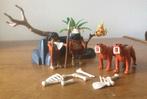 Playmobil Prehistorie Set, Ophalen of Verzenden, Zo goed als nieuw, Complete set