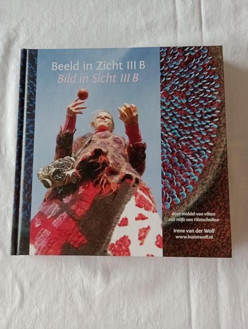 Beeld in Zicht IIIB door middel van vilten Irene vd Wolff, Boeken, Studieboeken en Cursussen, Zo goed als nieuw, Alpha, Ophalen of Verzenden