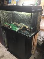 Jewel aquarium met kast ,kienhout, pomp  verlichting, enz, Dieren en Toebehoren, Vissen | Aquaria en Toebehoren, Ophalen, Zo goed als nieuw