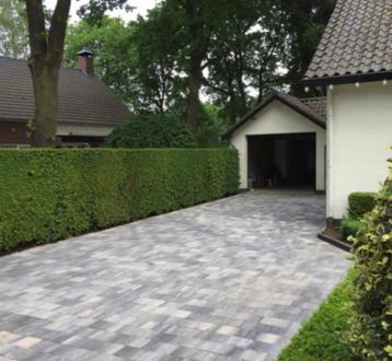ACTIE UITVERKOOP 60plus soft comfort 20x30 x 6 cm Grigio beschikbaar voor biedingen