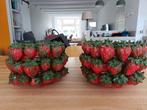 2 x Aardbeien potten: Wants&Needs Bloempot Strawberry Rood, Aardewerk of Porselein, Ophalen of Verzenden, Zo goed als nieuw, Minder dan 50 cm