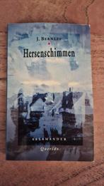 Hersenschimmen - J. Bernlef, Boeken, Ophalen of Verzenden, 20e eeuw of later, Zo goed als nieuw, J. Bernlef