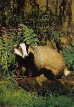 Dieren- -Das., Verzenden, 1960 tot 1980, Ongelopen, Overige thema's
