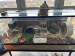 Groot terrarium 120 x 50 cm + tafeltje – ideaal voor hamster, Ophalen, Gebruikt