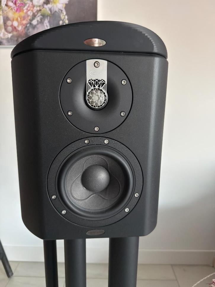 Crystal cable Minissimo Diamond, Audio, Tv en Foto, Luidsprekers, Zo goed als nieuw, Front, Rear of Stereo speakers, 120 watt of meer