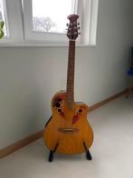 Richwood gitaar incl standaard, Ophalen, Gebruikt, Hollow body, Overige merken