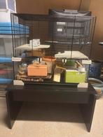 te koop hamsterkooi inclusief tafel, Dieren en Toebehoren, Knaagdieren en Konijnen | Hokken en Kooien, Ophalen of Verzenden, Minder dan 75 cm