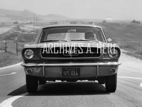 Ford Mustang 1964 - new car factory photo press introduction, Verzamelen, Automerken, Motoren en Formule 1, Nieuw, Auto's, Verzenden