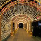30meter 1000 LED-Lichtsnoer Binnen-Buiten W-W Timer IP-44, Diversen, Kerst, Nieuw, Ophalen of Verzenden