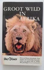 Walt Disney dierenboekjes, Ophalen of Verzenden, Overige figuren, Gebruikt, Overige typen