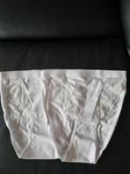 Set van 2 nieuwe Ten Cate damesslips met kant maat S, Ten Cate, Ophalen of Verzenden, Wit, Slip