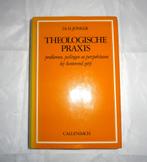 Dr. H. Jonker Theologische Praxis, Ophalen of Verzenden, Zo goed als nieuw, Christendom | Protestants