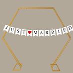 hexagon backdrop frame wit, Ophalen, Nieuw