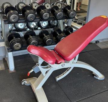 Pannatta Fitnessbank + Dumbbellset 14 t/m 22 kg beschikbaar voor biedingen