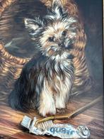 JW van Trirum, Fleurtje de Yorkshire terrier, Antiek en Kunst, Kunst | Schilderijen | Klassiek, Ophalen