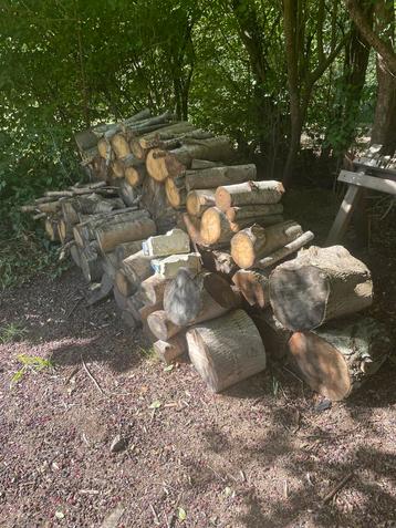 Mooi brandhout beuken elzen is al mooi gedroogd door de zon beschikbaar voor biedingen