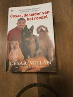 Cesar, de leider van het roedel., Boeken, Honden, Ophalen of Verzenden, Zo goed als nieuw