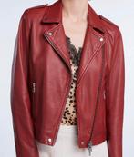 Set fashion Tyler Leren jack jas bikerjack leer NIEUW mt 36, SET, Overige kleuren, Nieuw, Ophalen of Verzenden