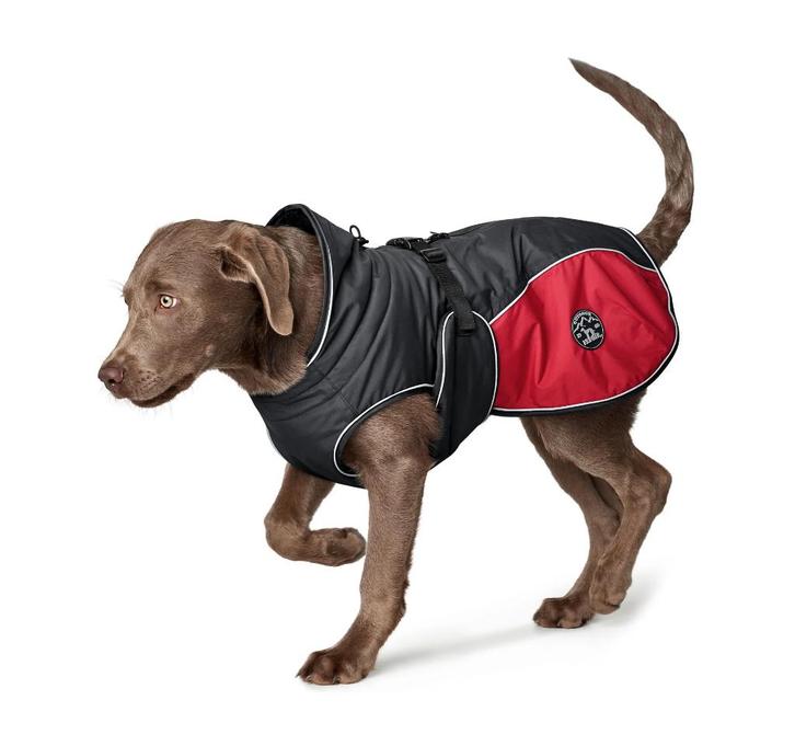 HUNTER Uppsala Cozy Hondenjas 60 cm Antraciet-Rood -35%!!!, Dieren en Toebehoren, Hondenkleding, Nieuw, Hondenjas, Ophalen of Verzenden