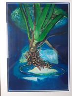 Ingelijste aquarel (?) met plantmotief, Antiek en Kunst, Ophalen of Verzenden