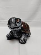 Vrolijke schildpad. Turtle, Ophalen, Nieuw, Dier