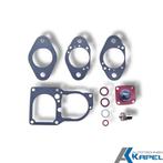 Carburateur revisie/pakking set solex 36-40 PDSI kleine set