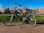 Papa fiets Sparta Papazone voor personen van 1.75m - 1.92m, Fietsen en Brommers, Gebruikt, 57 tot 61 cm, Ophalen, Overige merken