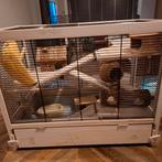 Knaagdieren hok zo goed als nieuw met veel accessoires., Dieren en Toebehoren, Minder dan 75 cm, Zo goed als nieuw, Hok, Ophalen