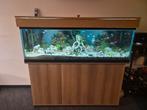 Aquarium 150x50x55, Dieren en Toebehoren, Vissen | Aquaria en Toebehoren, Ophalen, Gebruikt, Gevuld zoetwateraquarium