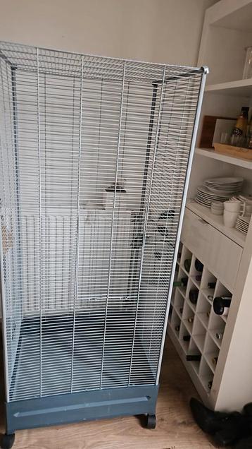 Vogelkooi  beschikbaar voor biedingen