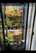 IKEA Milsbo Greenhouse, Huis en Inrichting, Kasten | Vitrinekasten, Ophalen, 50 tot 100 cm, Zo goed als nieuw, Minder dan 100 cm