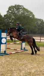 Bijrijder gezocht, Ophalen, Zo goed als nieuw