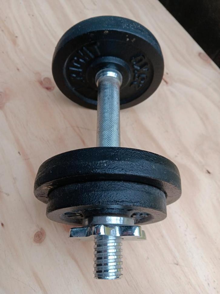 Halter / dumbell 10 kg - Doe een bod!, Sport en Fitness, Fitnessmaterialen, Gebruikt, Dumbbell, Armen, Ophalen of Verzenden