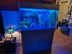 Redsea max 250l aquarium met techniek zoetwater ex zee, Dieren en Toebehoren, Vissen | Aquaria en Toebehoren, Ophalen, Gebruikt